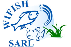 WIFISH - Entreprise de promotion de l'aquaculture